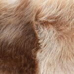 Ladies Womens Toscana Real Sheepskin Headband Neck Scarf Elasticated - Knighthood Store